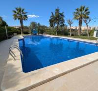 A pool surrounded by palm trees in Torrevieja on cl. Aquiles street offers a pleasant refreshment.