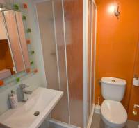 A studio apartment bathroom with orange tiles, a shower, a toilet, and a sink.