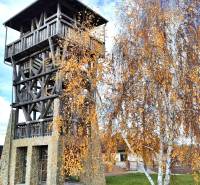 A wooden lookout tower in an autumn park with a birch tree in Veľké Kosihy.
