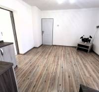 A room in a family house with a wooden floor, white walls, and a plant in the corner.