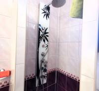 A shower corner in a family house with a decorative tiled wall and a floral pattern.