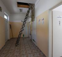 Interior of commercial premises with a ladder leading to the attic and an office on the right.