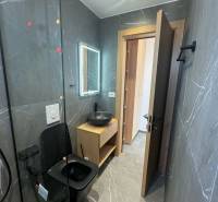 A bathroom in a holiday apartment with black sanitary fixtures and wooden furniture.