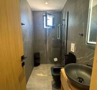 Bathroom in a holiday apartment with a shower, modern sink, and dark toilet for comfort.
