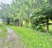 A path surrounded by greenery near a family house on Centrum Street in Makov.
