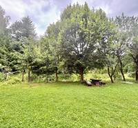 Greenery near the family house on Centrum Street in Makov, a bench under the trees.