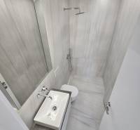 Bathroom in a holiday apartment with a shower, sink, and toilet.