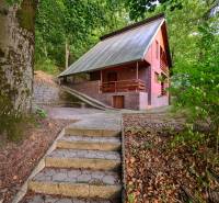 A cabin in the woods near Ružiná, surrounded by trees, stairs lead to the terrace.