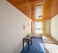 A room in a cabin with a wooden ceiling, a table, and beds, sunlight, and a carpet.