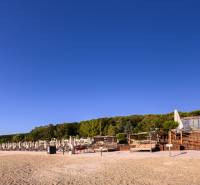 A beach with sunbeds and umbrellas surrounded by a forest and a clear sky.