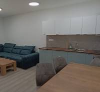 Living room with a kitchenette, sofa, and wooden furniture in a 2-room apartment.
