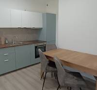 A kitchen with a dining table and chairs in a two-room apartment.