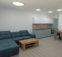 The living room with a kitchen includes a comfortable sofa, a wooden table, and a kitchen unit.