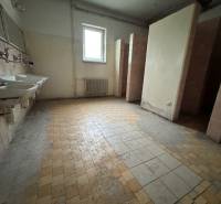 Interior of a building with sinks and toilets.