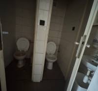 Interior of the building: two separate toilets with a sink.