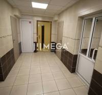 A hallway with an elevator and doors in a 3-room apartment with light tiles on the walls.