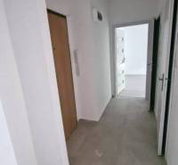 A hallway leading to the rooms in a 2-room apartment with white walls and doors.