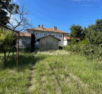 The garden at the house on Veľkoblahovská Street in Dunajská Streda, surrounded by greenery.