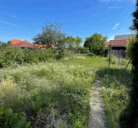 Garden path with a grassy area on Veľkoblahovská Street in Dunajská Streda.