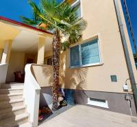 Entrance stairs to a family house in Komárno, surrounded by greenery and a palm tree.