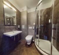 A bathroom with dark tiles, a shower corner, and a toilet in a 2-room apartment.