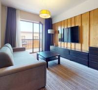 Living room in a two-room apartment with a sofa, television, and access to the balcony.
