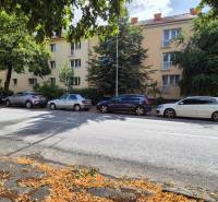 The building on Pod Párovcami Street in Piešťany, surrounded by trees and parked cars.