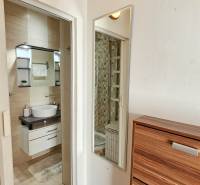 Bathroom with a sink, mirrored cabinet, and shower in a studio apartment.