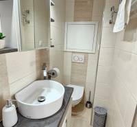 Bathroom in a studio apartment with a sink, mirror, and toilet.