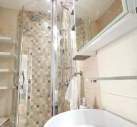 Bathroom in a studio apartment with a modern shower and practical shelves.