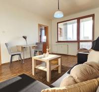 Living room in a one-bedroom apartment with a comfortable sofa, armchair, and table for relaxation.