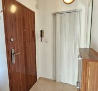 Entrance hall of a one-room apartment with wooden doors, a mirrored wardrobe, and bright lighting.