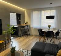 Living room of a 3-room apartment with a dining table and a bar counter.