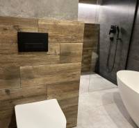 A bathroom with a shower, bathtub, and wooden paneling in a 3-room apartment.