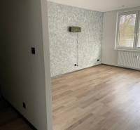 Empty room in a 3-bedroom apartment with wooden flooring and a structural wall.
