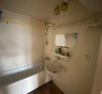 A bathroom with a shower and a sink in a 3-room apartment.