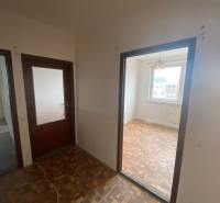 A hallway in a 3-room apartment with wooden doors and flooring.