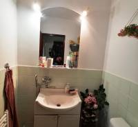 A bathroom in a family house with a sink, mirror, lighting, and decorative flowers.