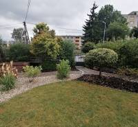 The garden of a family house on J.Š.Šikuru Street in Martin with a lawn and shrubs.