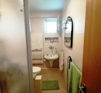 A bathroom in a family house with a sink, shower, and small window.