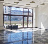 Bright commercial spaces with large windows and tiled floors.
