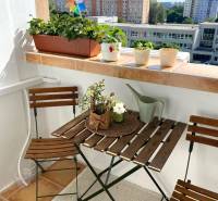A balcony in a 3-room apartment with plants, a table, and a view of Belinského Street in Petržalka.