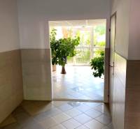 An entrance hallway with tiles and plants leads to the exit of a 3-room apartment.