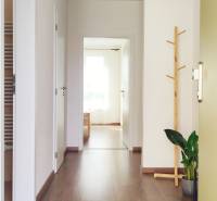 A hallway with a wooden floor, a clothing rack, and a plant in a 2-room apartment.