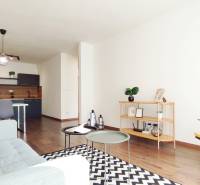 A living room in a two-room apartment with simple furniture, wooden flooring, and a kitchenette.