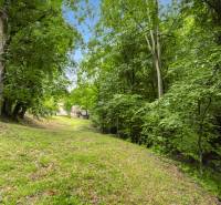 Forest scenery in Brezová pod Bradlom on Dzurákovci Street with a partially visible family house.