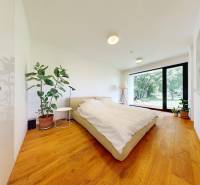 A bright bedroom with a large window, wooden floor, and plants in a family house.