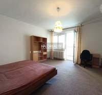 A room with a bed, a desk, and a shelf in a studio apartment, light curtain brake.