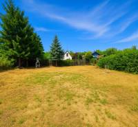 A spacious garden in Lozorno with a grill, bordered by tall trees and a wooden fence.