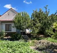A family house in Kolárovo with fruit trees in the garden under a blue sky.
